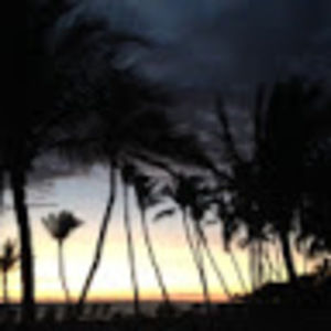 Meet your Posher, Millie jane